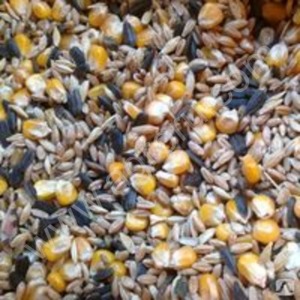 Зерносмесь 35 кг. (пшеница, ячмень, семечка, кукуруза колотая, просо )