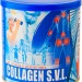 collagen